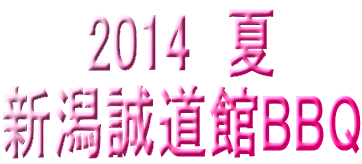 2014@ VBBQ