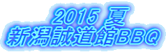 @@@2015  VBBQ